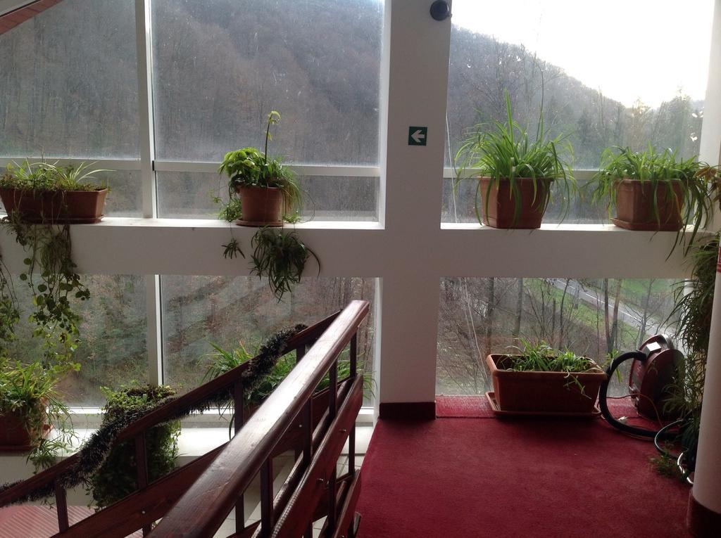 Hotel Panoramic Moneasa Cameră foto
